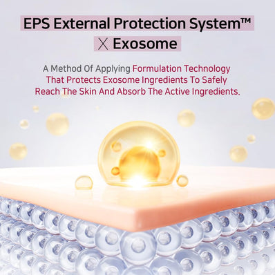 APLB - Exosome Collagen Ex Cream