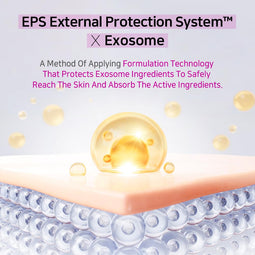 APLB - Exosome Vitamin C EX Cream