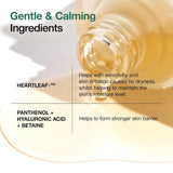 Anua - Heartleaf 80% Soothing Ampoule
