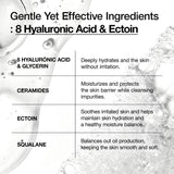 Anua - Hyaluronic Acid 8+ Squalane Moisturizing Gentle Gel Cleanser
