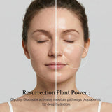 Round Lab - Birch Moisturizing Toner