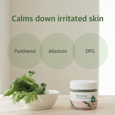 Round Lab - Mugwort Calming Moisturizer