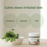 Round Lab - Mugwort Calming Moisturizer