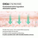 VT Cosmetics - Pdrn Cica Exosome