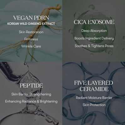 VT Cosmetics - Pdrn Cica Exosome