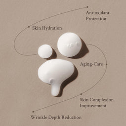 Village 11 Factory - Miracle Youth Serum
