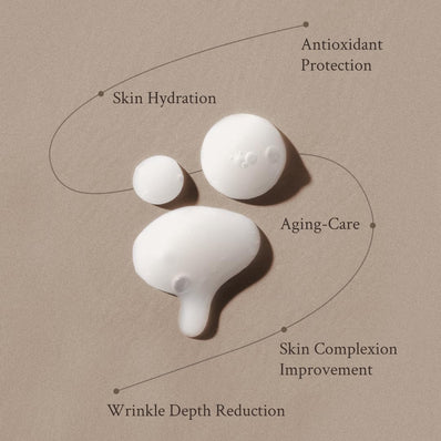 Village 11 Factory - Miracle Youth Serum