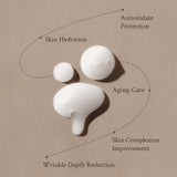 Village 11 Factory - Miracle Youth Serum